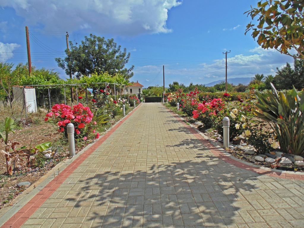 Eliofos Luxury Villa Полис Екстериор снимка