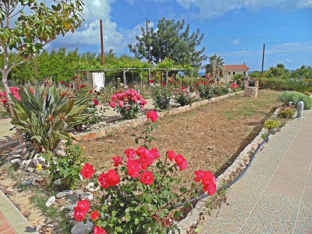 Eliofos Luxury Villa Полис Екстериор снимка
