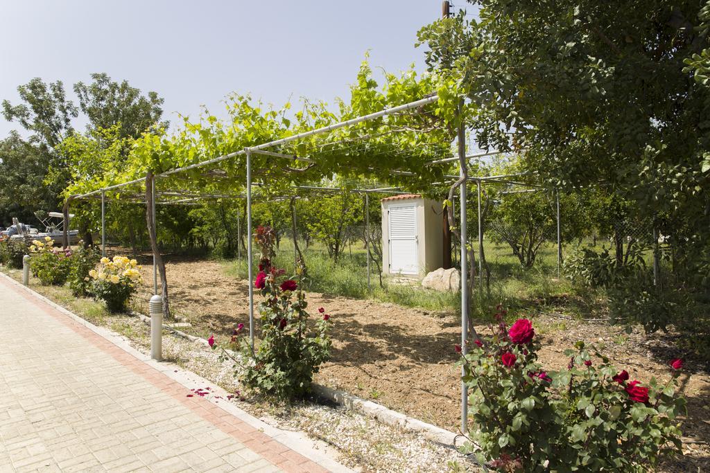 Eliofos Luxury Villa Полис Екстериор снимка